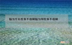 猫为什么吃鱼不怕刺 猫为何吃鱼不怕刺