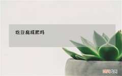 吃豆腐减肥吗