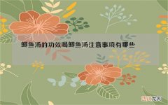 鲫鱼汤的功效喝鲫鱼汤注意事项有哪些