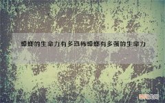 蟑螂的生命力有多恐怖 蟑螂有多强的生命力