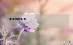 牛羊肉的好处