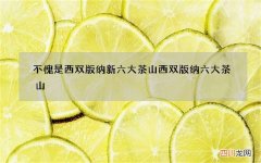 不愧是西双版纳新六大茶山 西双版纳六大茶山