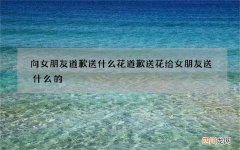 向女朋友道歉送什么花 道歉送花给女朋友送什么的