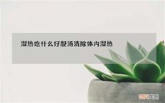 湿热吃什么好靓汤清除体内湿热