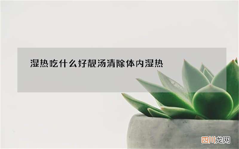 湿热吃什么好靓汤清除体内湿热