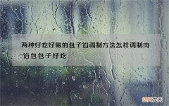 两种好吃好做的包子馅调制方法 怎样调制肉馅包包子好吃