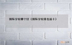 国际学校排名前十 国际学校哪个好