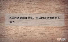 李晨的老婆现在是谁？李晨的家世到底有多强大