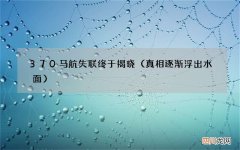 真相逐渐浮出水面 370马航失联终于揭晓