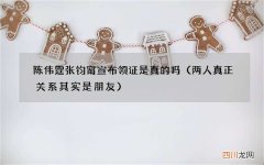 两人真正关系其实是朋友 陈伟霆张钧甯宣布领证是真的吗