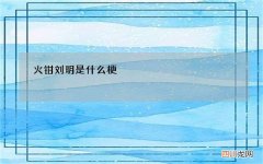 火钳刘明是什么梗