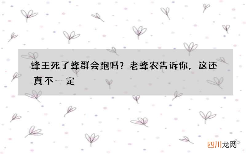 蜂王死了蜂群会跑吗？老蜂农告诉你，这还真不一定