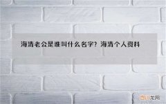 海清老公是谁叫什么名字？海清个人资料