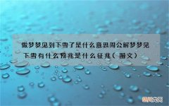 做梦梦见到下雪了是什么意思 周公解梦梦见下雪有什么预兆是什么征兆