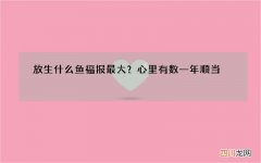 放生什么鱼福报最大？心里有数一年顺当