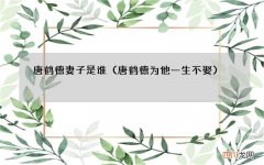 唐鹤德为他一生不娶 唐鹤德妻子是谁