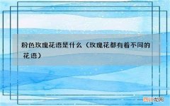 玫瑰花都有着不同的花语 粉色玫瑰花语是什么