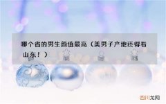 美男子产地还得看山东！ 哪个省的男生颜值最高