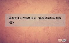 福原爱离婚另有隐情 福原爱江宏杰婚变原因