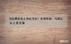 鸟拉屎在头上鸿运当头？乡间传说：鸟屎拉头上是灾难