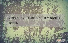 元仲辛为什么不能娶赵简？元仲辛真实身份是什么