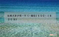 一般在1500-1800元 比熊犬多少钱一只