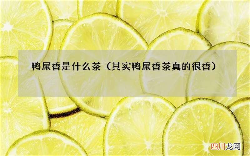 其实鸭屎香茶真的很香 鸭屎香是什么茶