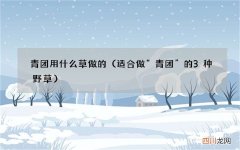 适合做“青团”的3种野草 青团用什么草做的