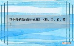 梅、兰、竹、菊 花中君子指的是什么花？