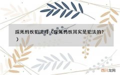 踩死蚂蚁其实是犯法的？ 踩死蚂蚁犯法吗