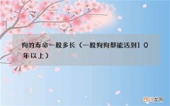 一般狗狗都能活到10年以上 狗的寿命一般多长