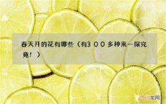 有300多种来一探究竟! 春天开的花有哪些
