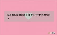 农村小伙教你几招 福寿螺和田螺怎么区别