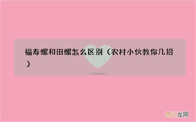 农村小伙教你几招 福寿螺和田螺怎么区别