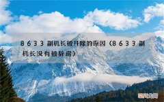 8633副机长没有被辞退 8633副机长被开除的原因