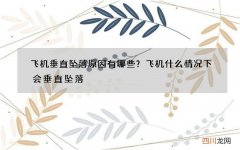 飞机垂直坠落原因有哪些？飞机什么情况下会垂直坠落