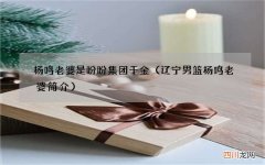 辽宁男篮杨鸣老婆简介 杨鸣老婆是盼盼集团千金