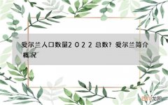 爱尔兰人口数量2022总数？爱尔兰简介概况