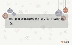 粤s是哪里的车牌号码？粤s为什么这么嚣张