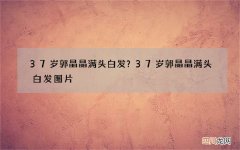 37岁郭晶晶满头白发？37岁郭晶晶满头白发图片