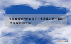 牛青峰曾黎为什么分手？牛青峰老婆许书绮是导演很有才华