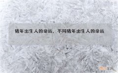 猪年出生人的命运，不同猪年出生人的命运