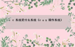 cos操作系统 ic系统是什么系统