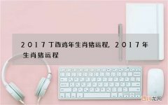 2017丁酉鸡年生肖猪运程,2017年生肖猪运程