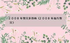 2008年南方雪灾 2008年雪灾多恐怖