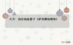 萨宾娜 加德奇 大卫·伯伦纳兹妻子
