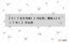 2017年生肖猪12月运势,属猪人2017年12月运势
