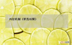 职责权限 内控机制