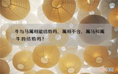 牛与马属相能结婚吗，属相不合，属马和属牛的结婚吗？