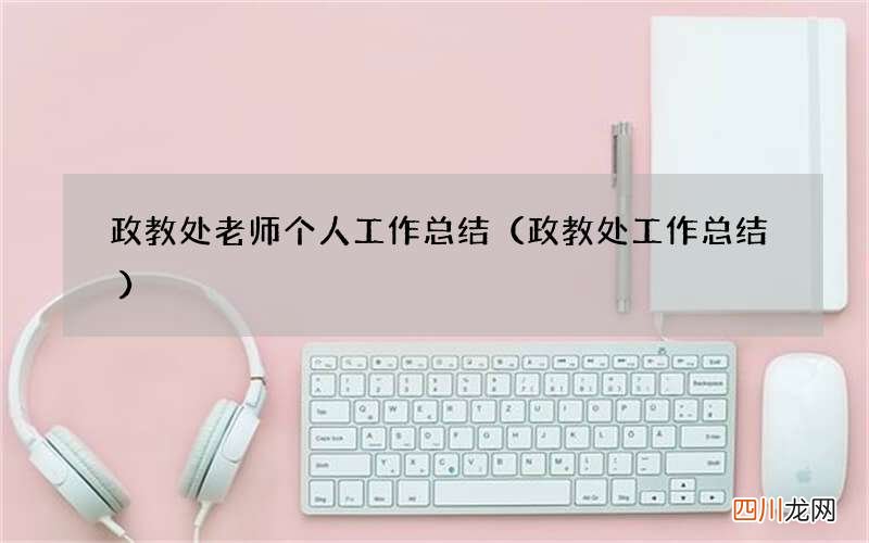 政教处工作总结 政教处老师个人工作总结